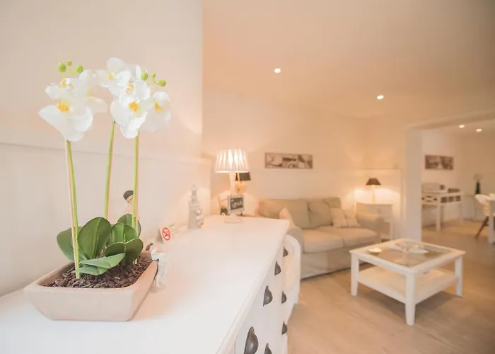 La Palette * De Haan